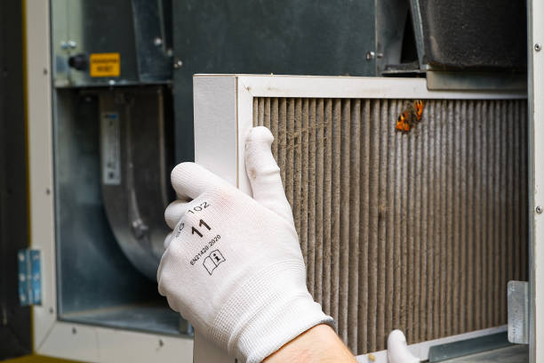 Best Dryer Vent Cleaning Services  in Chelsea Cove, NY