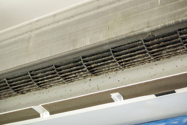 Best Local Air Duct Cleaning Services  in Chelsea Cove, NY