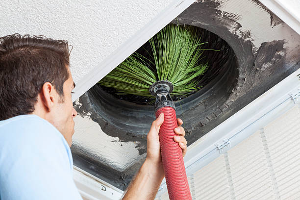 Best Ventilation Cleaning Services  in Chelsea Cove, NY